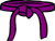 Purple Belt